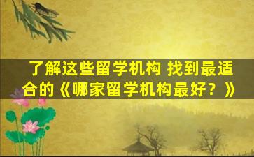 了解这些留学机构 找到最适合的《哪家留学机构最好？》